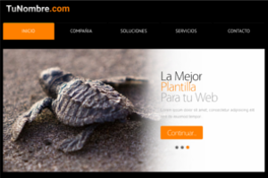 Plantilllas web profesionales - 1
